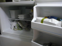 picture of two ice cube trays stacked together on the
	      upper shelf