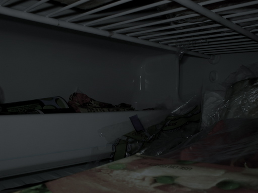 adult cube view of inside freezer