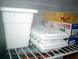 making cubes with hot water