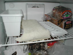 making cubes with a towel wrapped around the tray