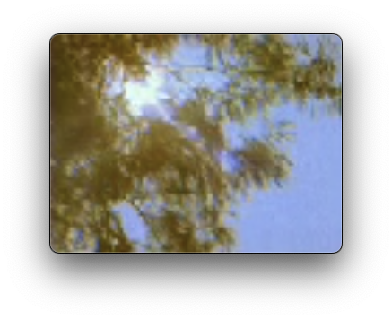 still of the sun shining through the trees